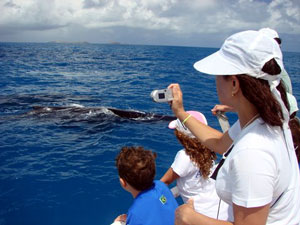 Avistagem de Baleias - Turismo em Abrolhos